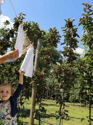 2014 inge hangt baby was op