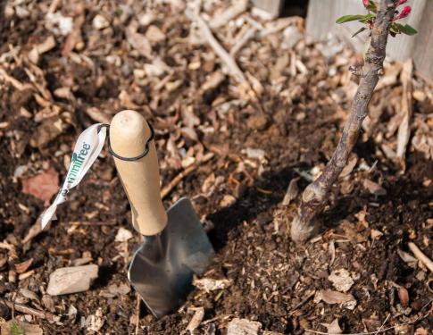 plantschepje horizontaal