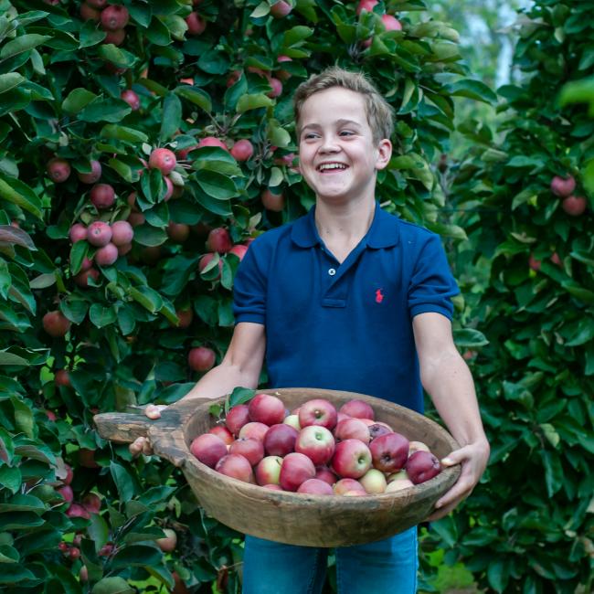2018 thijs lachend met bak redlane appeltjes
